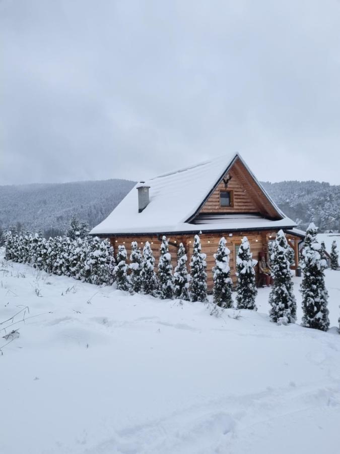 Jodlowa Chata Myslenice Exterior photo